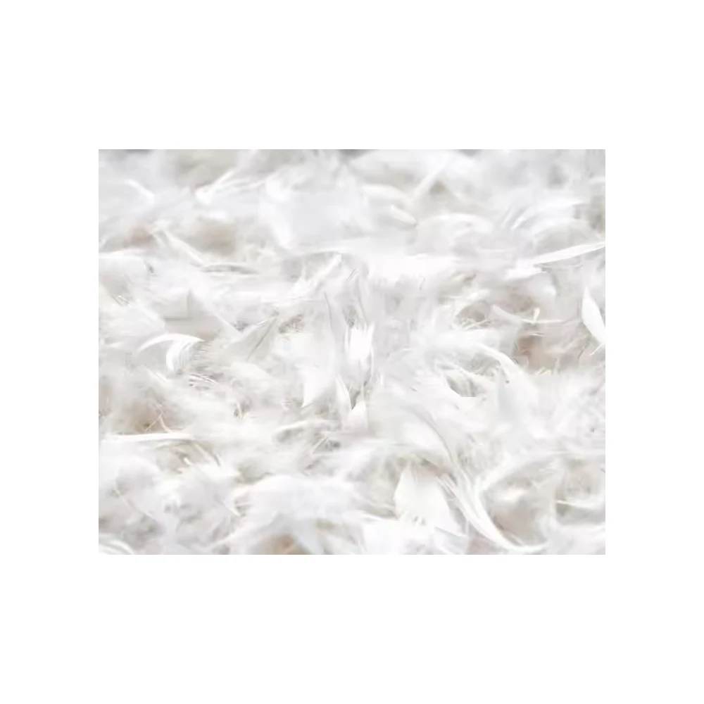 New Factory Price Soft Warm White Duck Feather Machine Washable Down Duck Down Feather For Home Textiles and Other Decoration