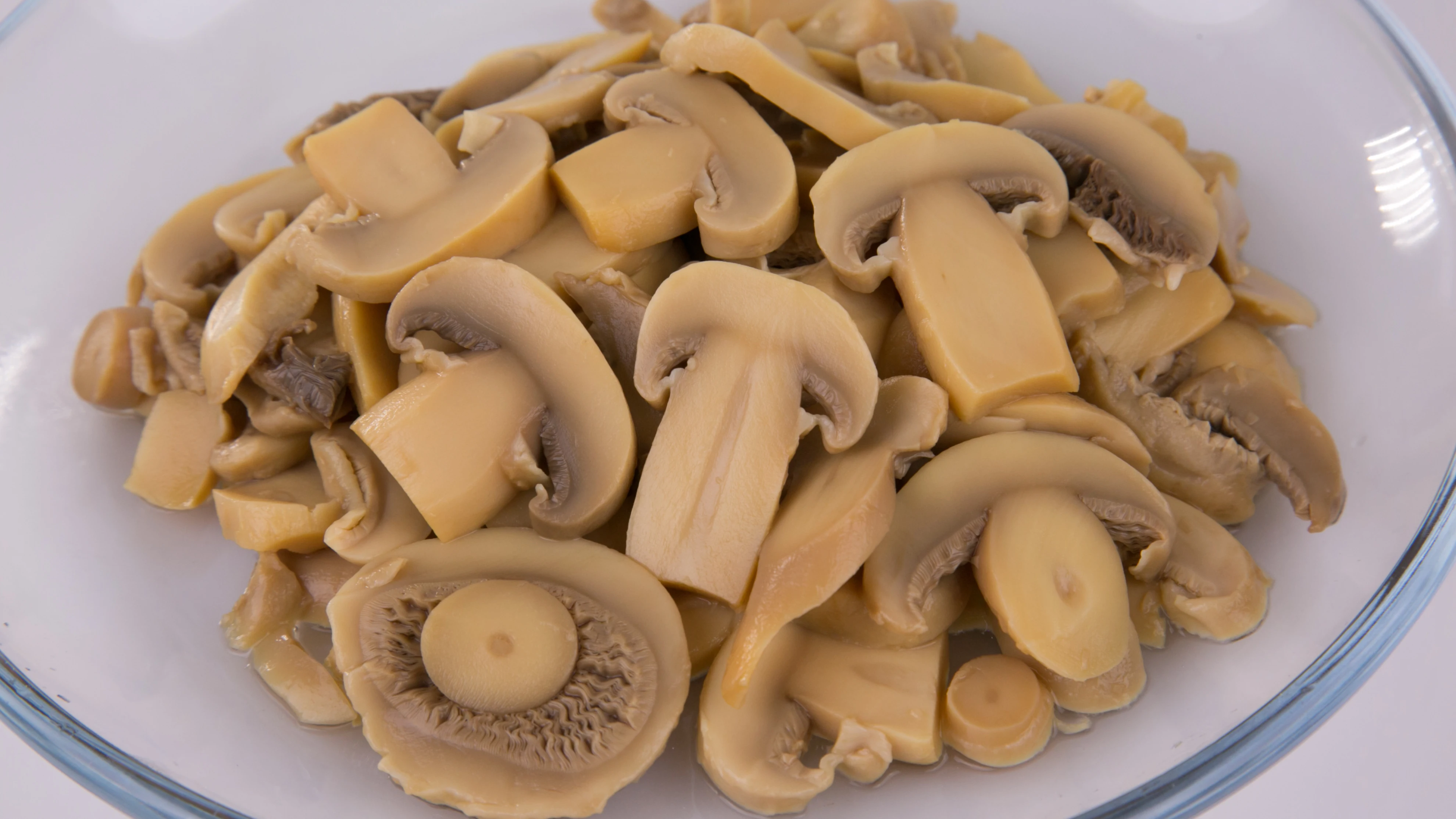 
Wholesale food price list canned fresh mushroom slice 