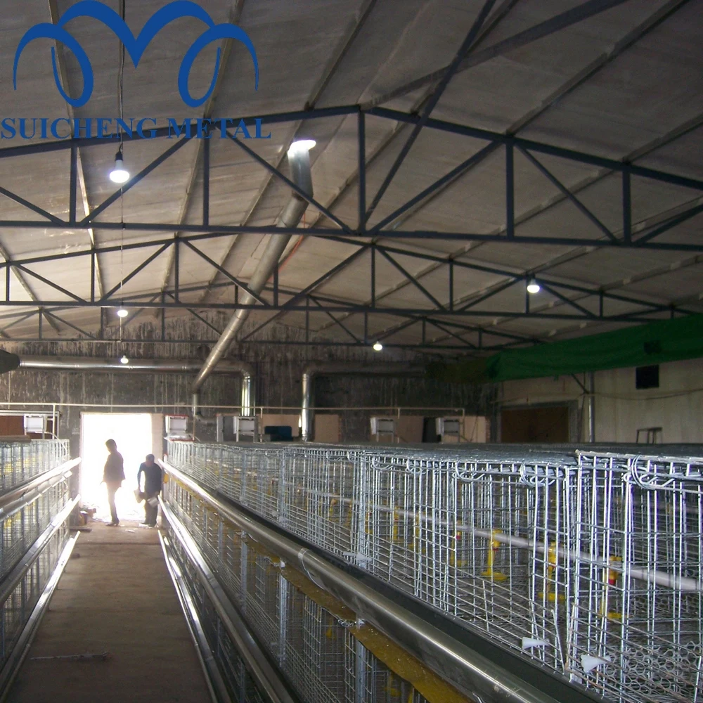 2024 Guangzhou Factory 48 birds capacity Galvanized broiler chicken cages