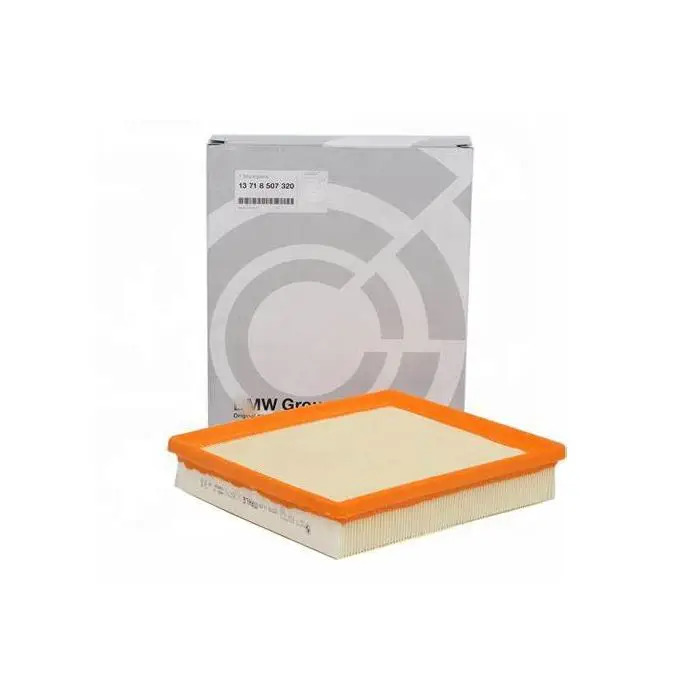 Genuine Parts Air Filter 13718507320 13717630911 for Bmw 520i 420i 328i 320i 320d 318i - Buy in bulk discount