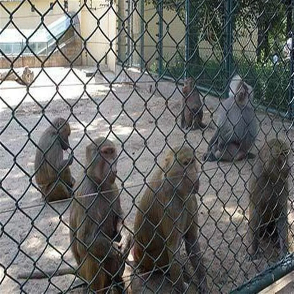 China galvanized used diamond 6 ft black chain link fence price cyclone fence for farm