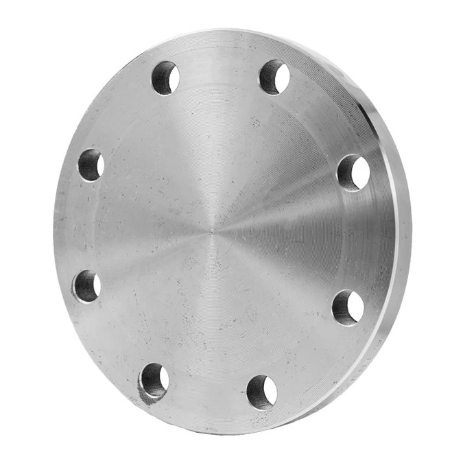 High Quality Stainless Steel 304 316L Forged Threaded Drainage Flanges