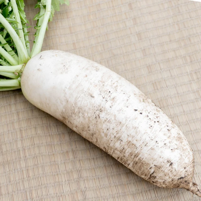 Safe secure natural white radish fresh broccoli cabbage vegetables