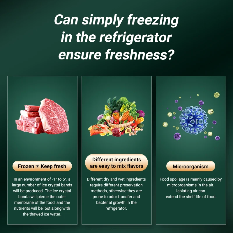 2024 Hot Sales 100W Factory Custom Vacuum Sealer Machine Top Fashion Easy Home Use Electric Fast Shipping for Household