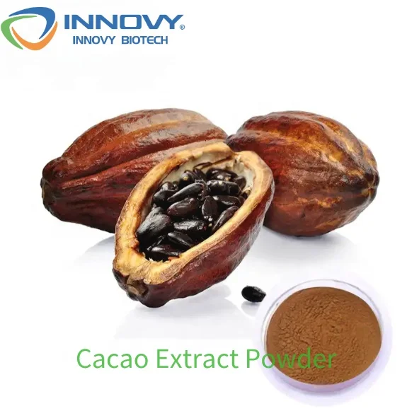 Innovy Factory Direct Supply Organic Cocoa Extract 10:1 Theobromine Powder 99% Cocoa Powder