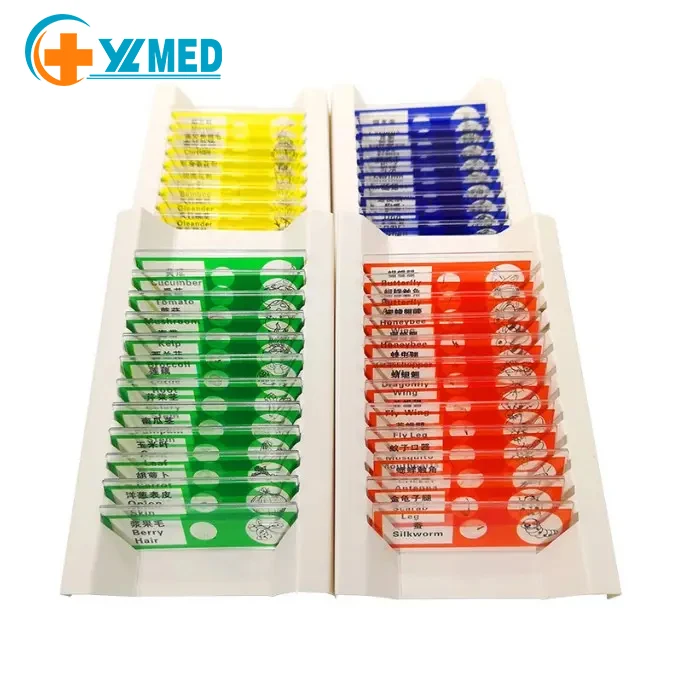 Science Education Medical Biology observation slide Plastic prepared microscope slides for children lab education