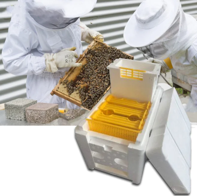 Plastic box for bee Honey Queen Bee Hive Nuc Box Mini bee Mating Boxes
