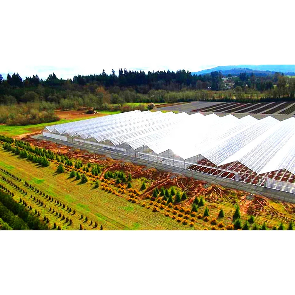 
greenhouse cultivation 