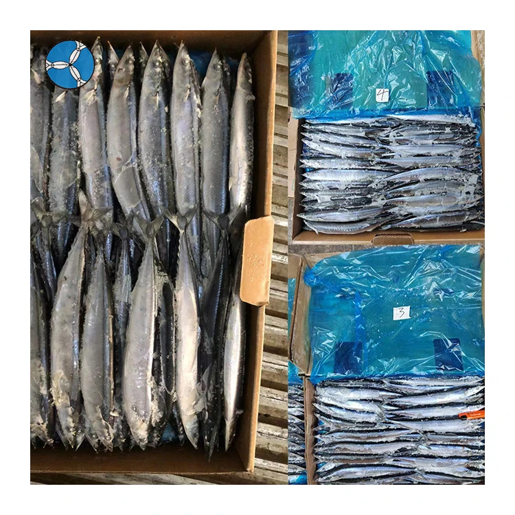 New Goods Frozen Pacific Saury SANFENG Wholesale Whole Round Pacific Saury Fish For Export