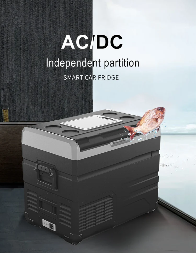 TW45 small 12v Trucks Compressors Refrigerator Mini Deep Freezer Refrigerators Small Wine Cooler Skincare Beauty Car Fridge