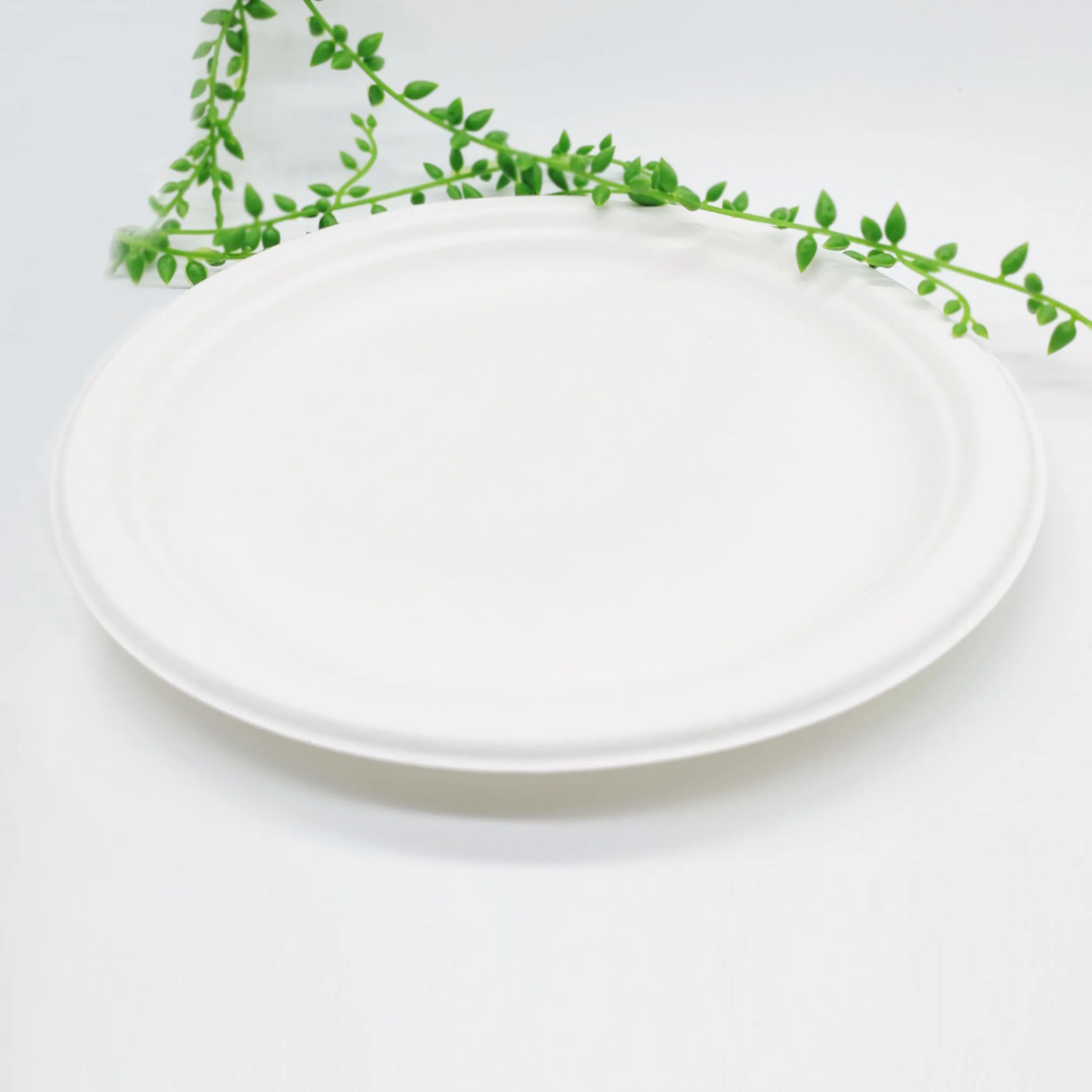 100% Compostable Paper Plate Set Disposable Custom Logo Plate Paper Plates For Parties Events