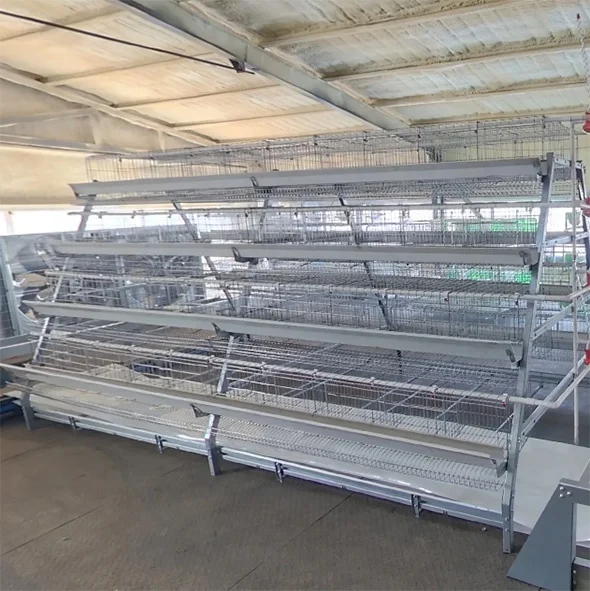 A Type Chicken Cage Egg Laying Automatic Poultry Farm Equipments For Chickens