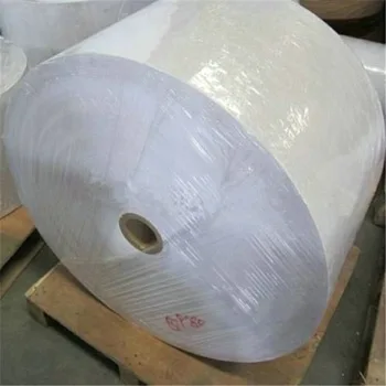 Wholesale 55gsm 800mm X 6000m Thermo 80x80 Bpa Free Jumbo Thermal Paper Rolls 400 Mm