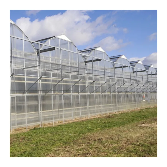 
Can be customized upon request polycarbonate panels greenhouse for fish and shrimp fish 