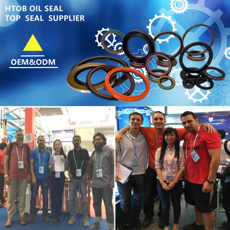High Quality Skeleton Shaft Oil Seal NBR FKM Rubber Double Lip Seal TC Oil Seal Manufacturers
