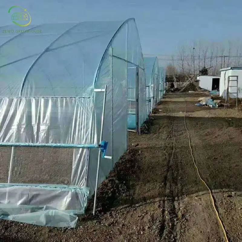 Оправа для теплиц с томатами 8x30 м