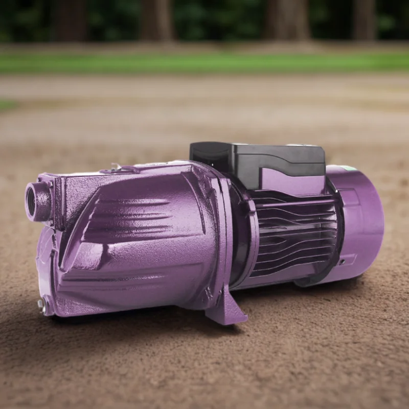 1inch 220v/50hz 0.37kw Copper Wire Motor Electric Self-Priming Cast Iron Booster Jet Pump