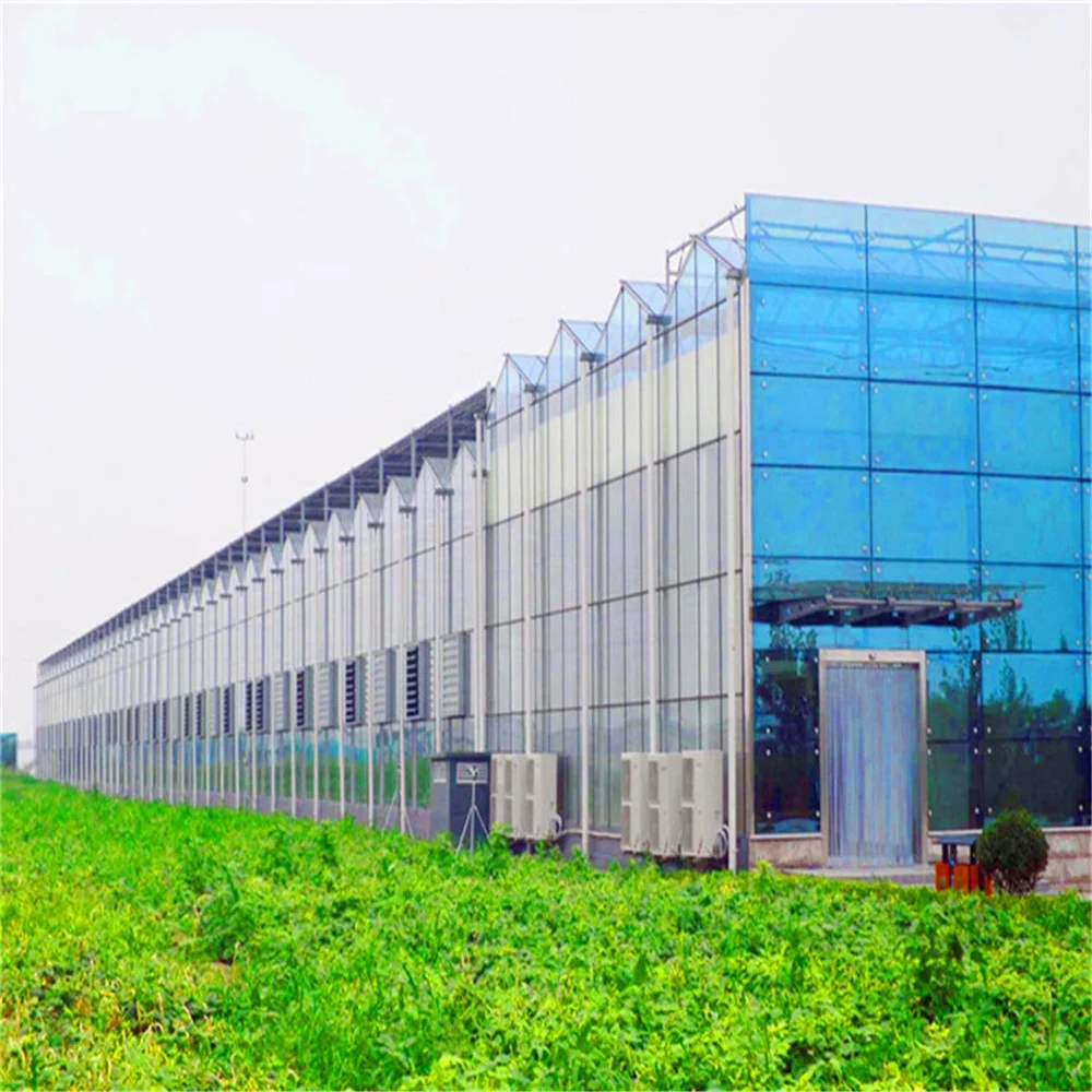 
greenhouse cultivation 