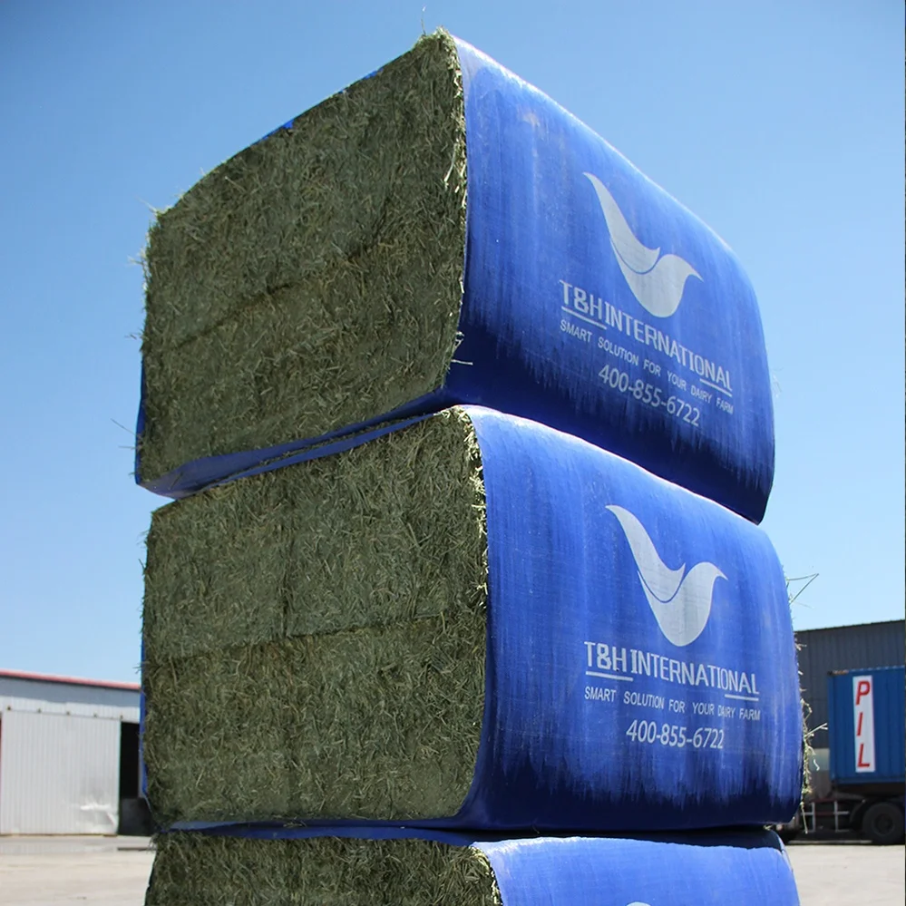
T&H Alfalfa Hay Animal Feeding High Quality for Sale Sundry Lucerne Hay Alfalfa 