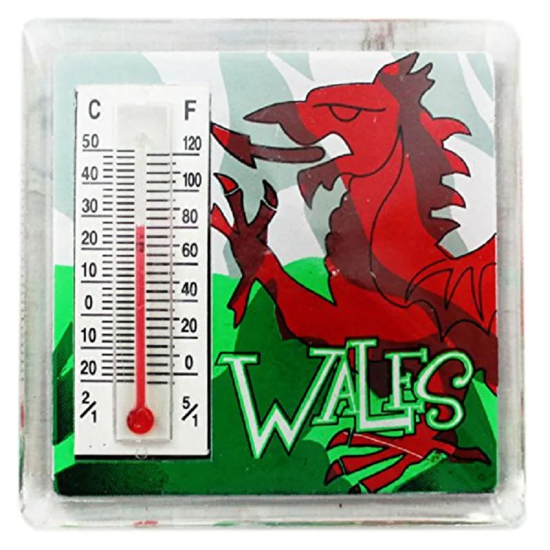 Factory Direct Custom Promotional Gifts Magnet Fridge Magnet With Thermometer For Sale