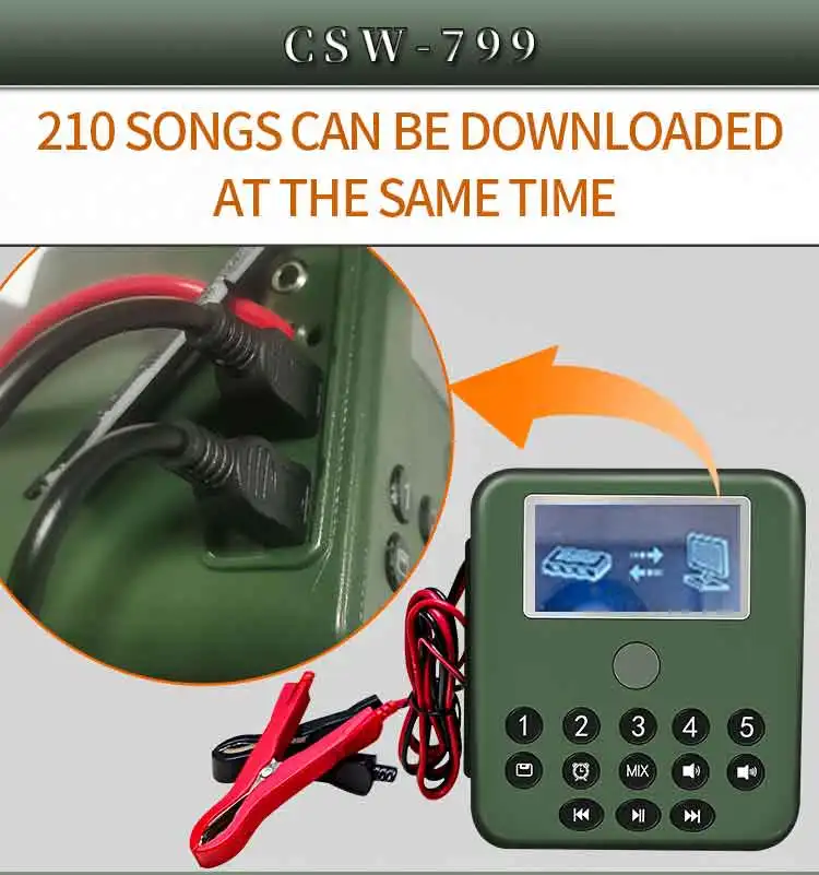 750CSW-799_09 - .jpg