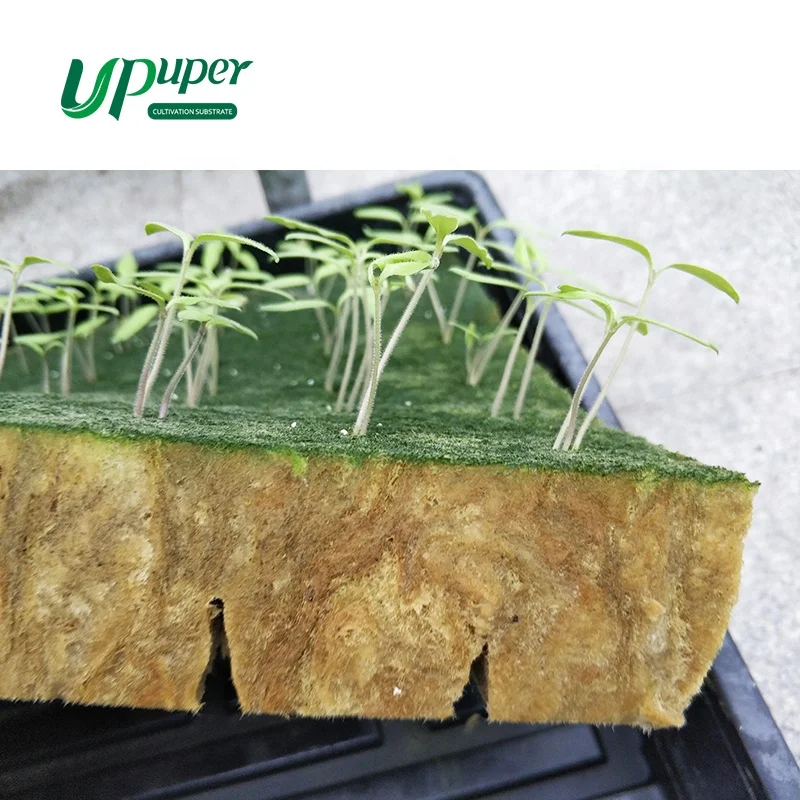 UPuper Cheap Rock Wool Hydroponic Grow Media 1.5x1.5 Inch Each for Vegetable Garden Tower