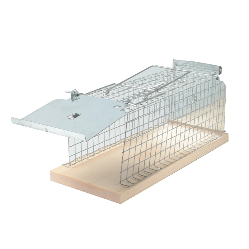 Wholesale Source Factory Supply Portable Humane Live Mouse Trap Tat Trap Cage For Mouse Mice Rat Cage Trap