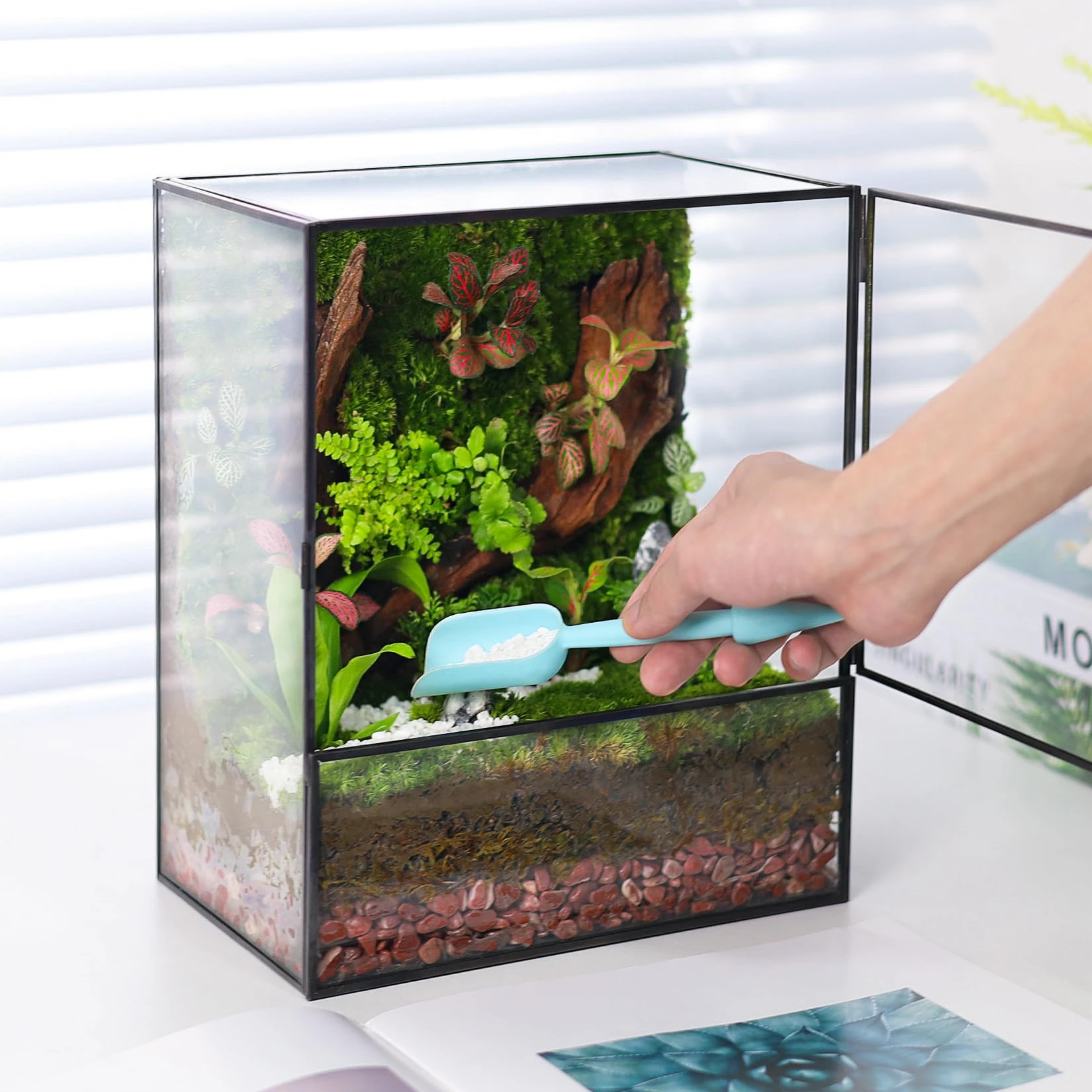 Customizable Material Of Iron Modern And Unique Terrarium With Glass For Home & Garden Decoration
