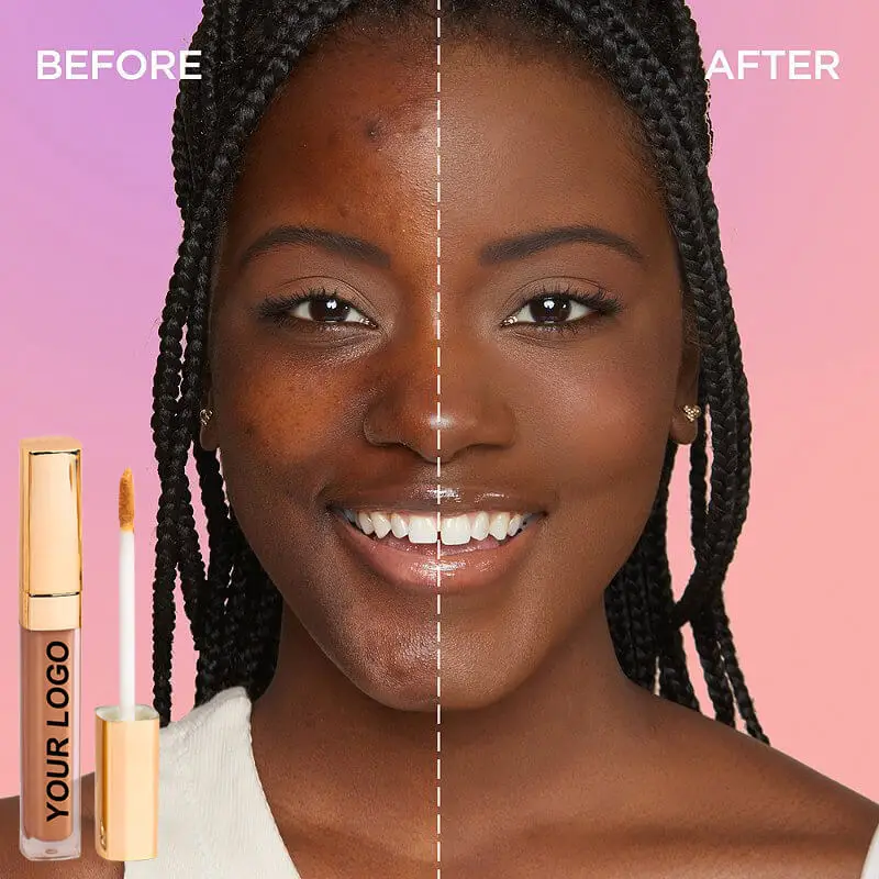 Private Label Waterproof Concealer Full Coverage Liquid Concealer Matte Makeup Liquid Concealer Foundation