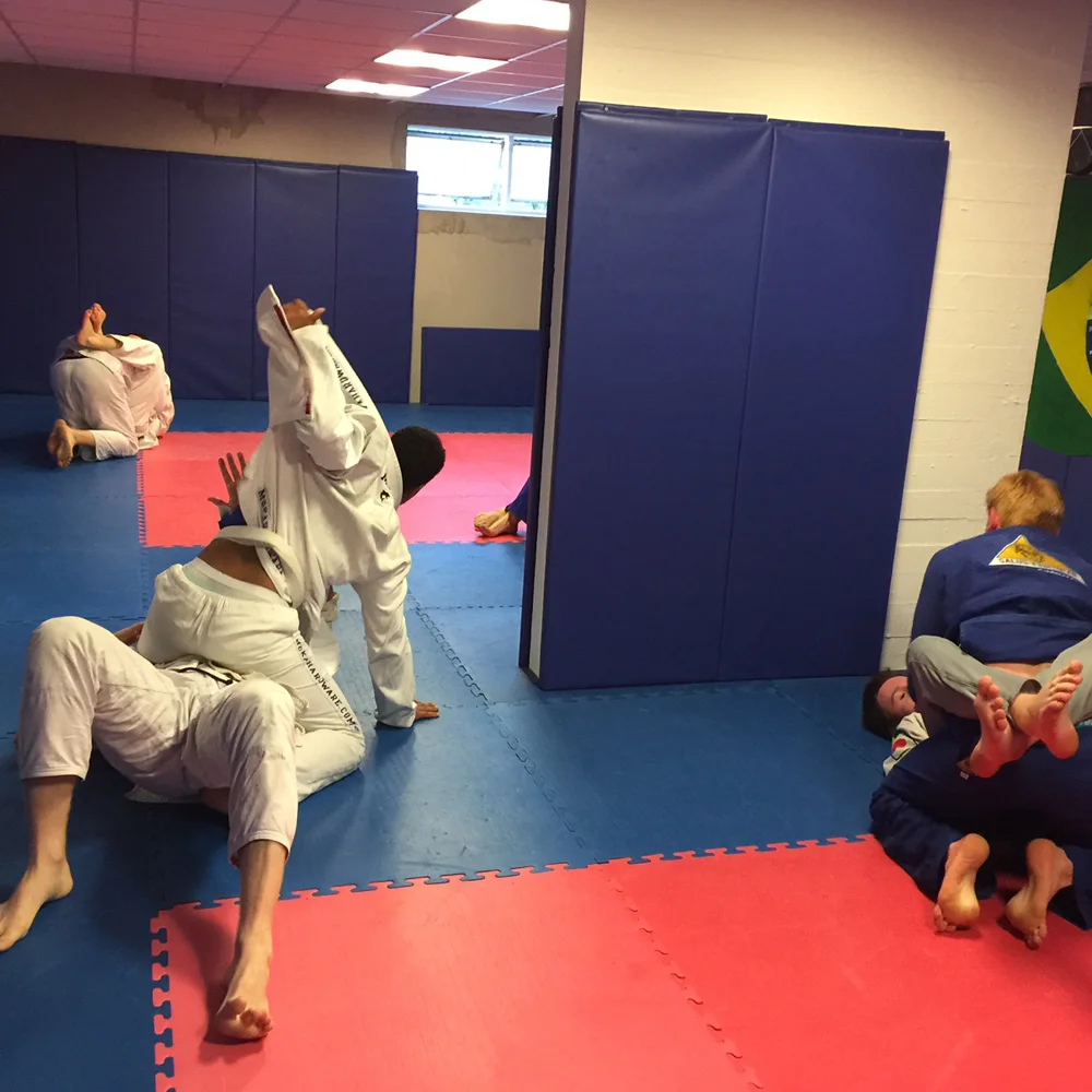 2020 Wall Foam Padding MMA Wall Padding Bouldering Crash Pads for Gym Training