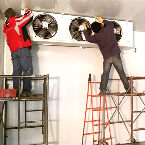 Walk In Cooler Condensing Unit and Evaporator for Cold Room