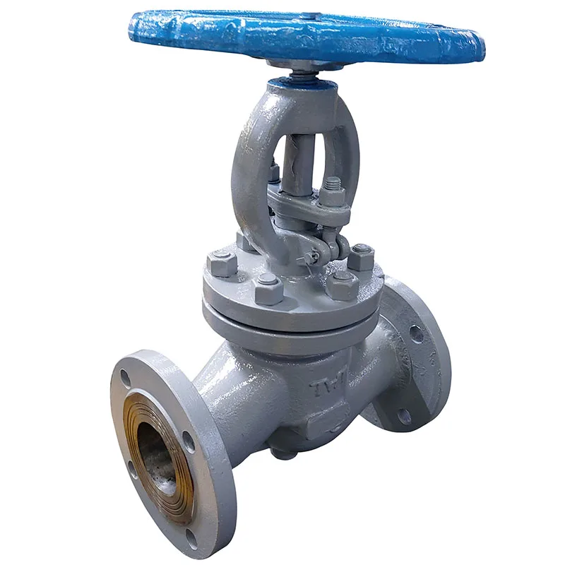 DN65 WCB Through way flange connection GB Globe valve