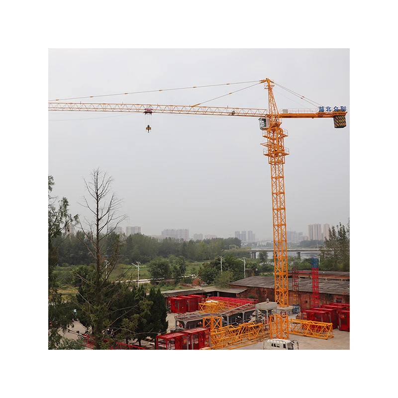 
Manufacturers provide customizable logo tower crane rated load 6t tower crane 