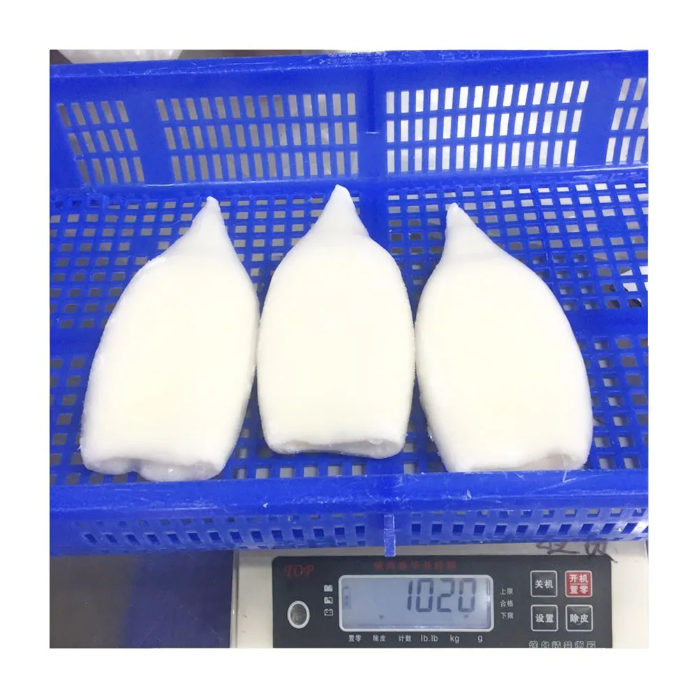 Frozen Squid Tube U8 Bqf Giant Seafood Illex Indian Ocean Squid Tube U8 U2 U3 U4 U5 U6 U7 U10