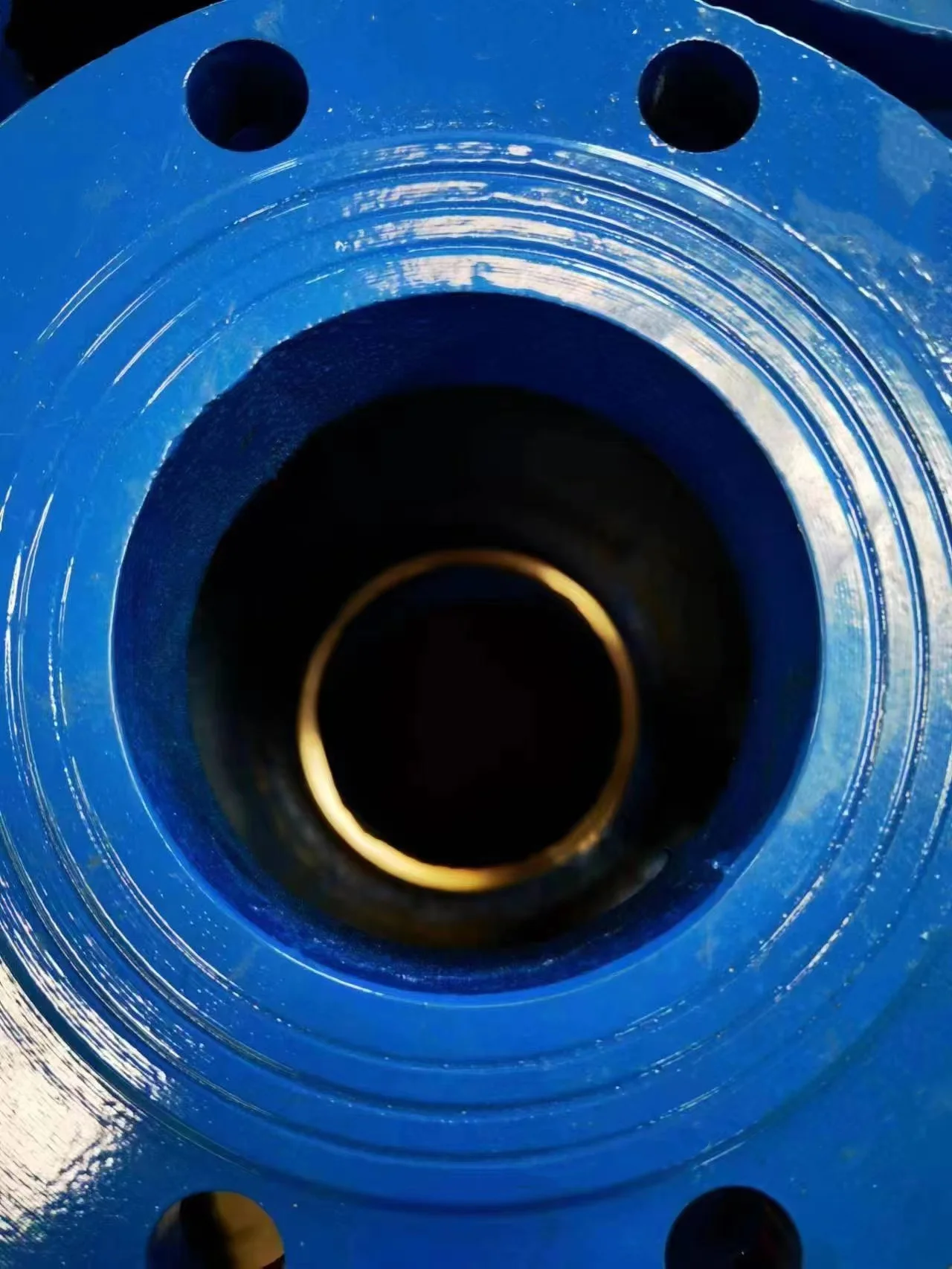 BS standard  DN150 GGG50 body good quality price list valved check swing check valve non return valve