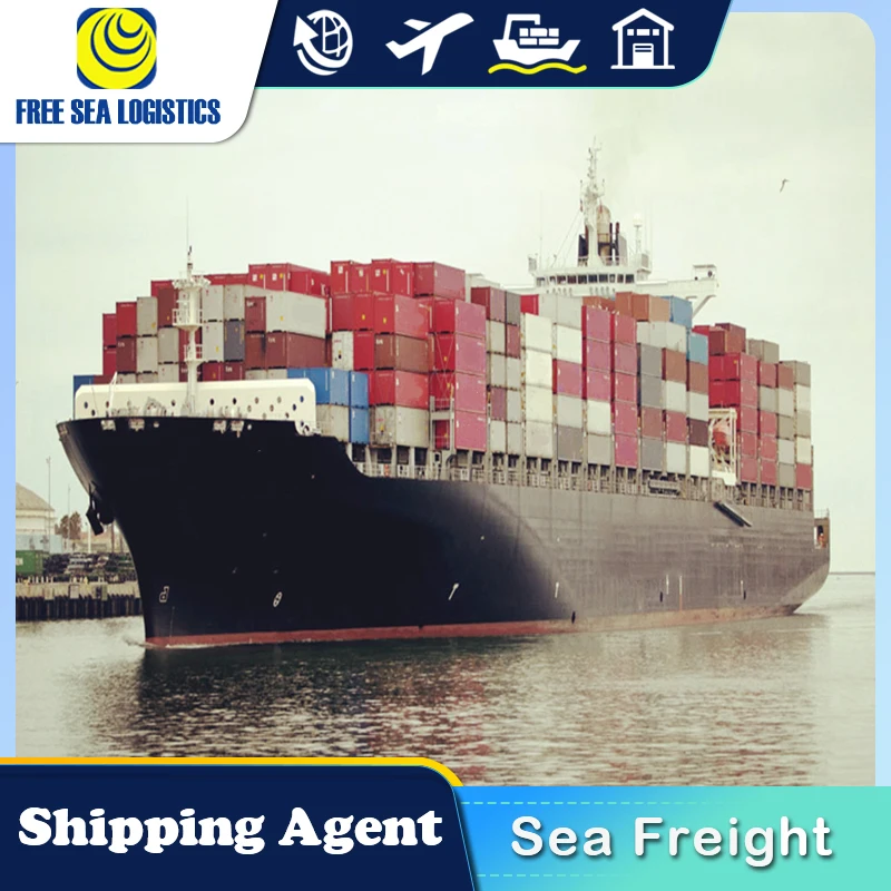 Cheap Fast DDP DDU FCL LCL sea Shipping freight forwarder from China to UAE Oman Saudi Arabia by sea shipping