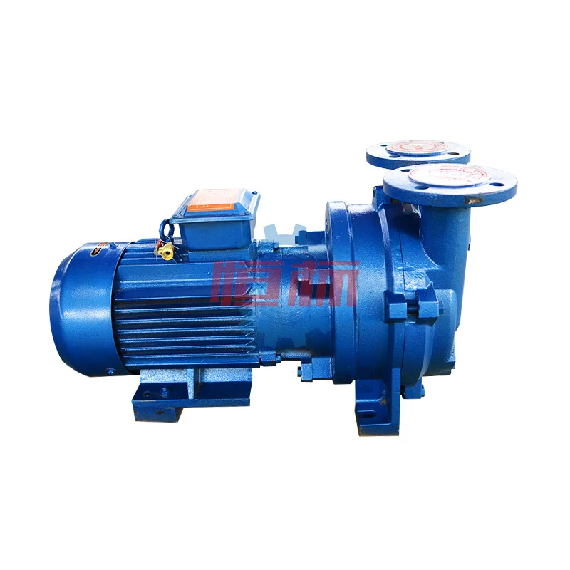 Factory Price 2BV Series Single Stage Liquid Water Ring Vacuum Pump with Stainless Steel Impeller