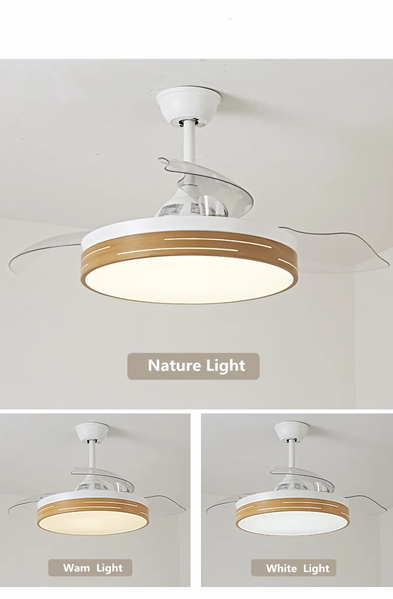 
Chinese Ceiling Fans Prices 42/52 inch Iron Blade Concealed Ceiling Fan Light 