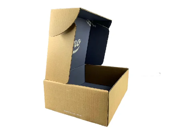 retail manufacturer Foldable Folding inside printed pattern box Storage Plastic shoe corrugated box