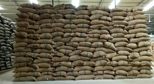 Brazil Washed Process Quality Arabica Green Coffee Beans Raw Beans Wholesale