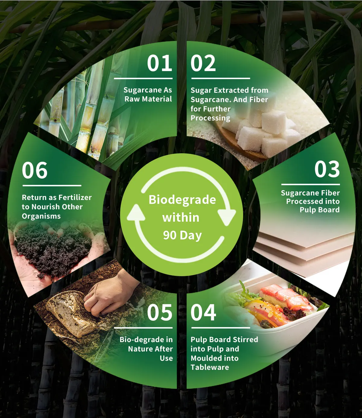 9 Inch 3-Comp 100% Biodegradable & Compostable bagasse sugarcane disposable dinner plates china