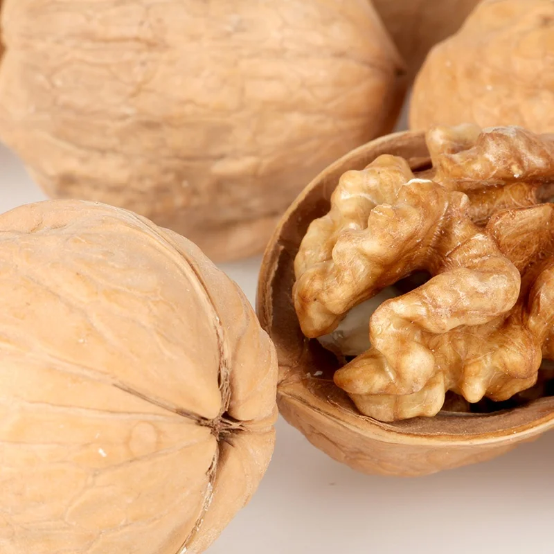 Factory Direct Sale Cheap Price Healthy Vegetable Nuts Inshell Walnuts And Walnuts Kernels