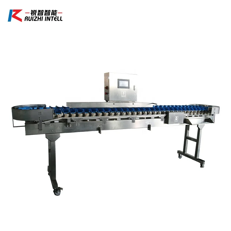 Multi Grade fish seafood chicken shrimp Weighing And weight Sorting Machine/potato sorting machine