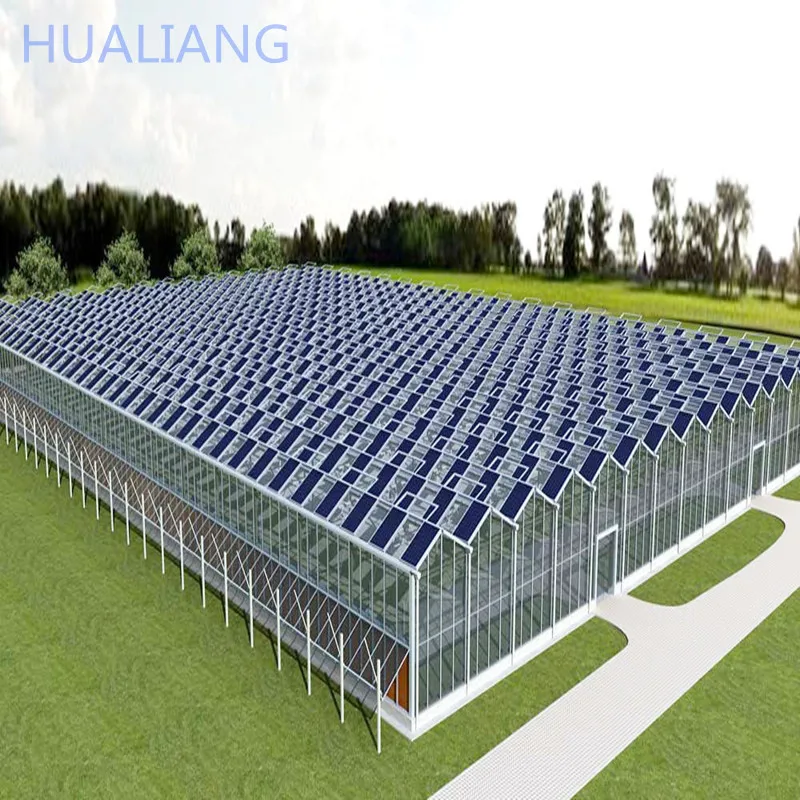 Agricultural Polycarbonate Solar Panel/Sheet Greenhouse Turnkey Project Complete Cooling/Heating System