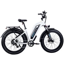 Free Shipping American US Warehouse Fat Tire 26 Inch Adult City E Bicycle Snow Electric Bike
