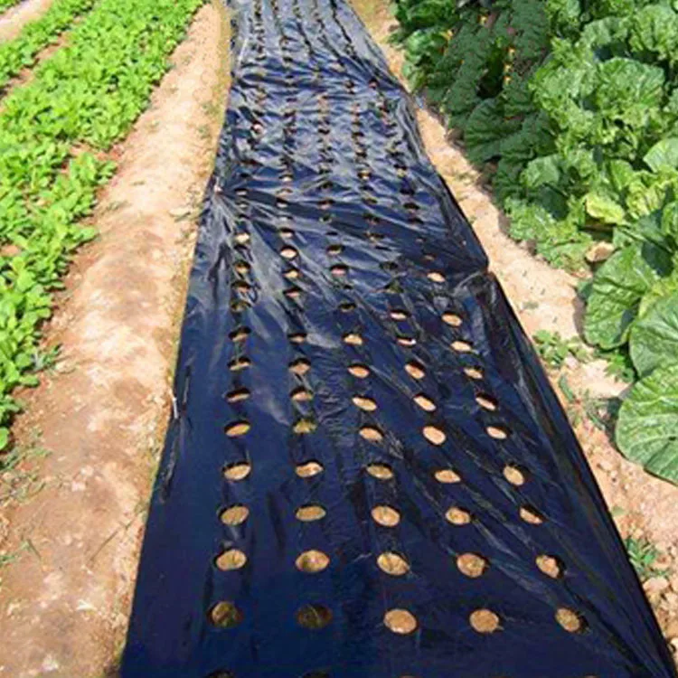 Factory Hot Sale Biodegradable Mulch Agricultural Plastic Products
