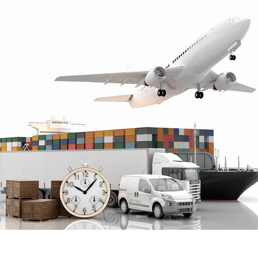 from China to USA Canada UK Mexico Germany Australia by sea fast sea shipping cheap price shipping agent freight forwarder