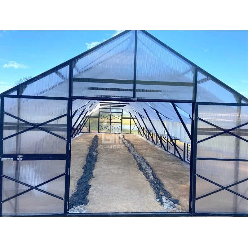 G-MORE Top Quality Multi Span Commercial Greenhouse for Garden Centre 8x5 Meters