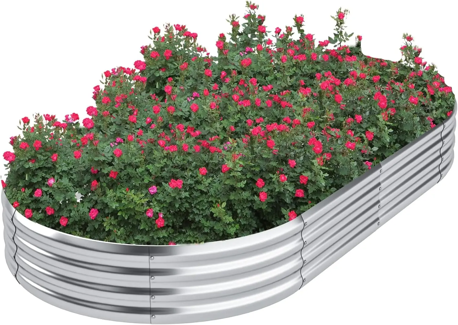 China manufacture wholesale farmstead raised garden bed 6ft*3ft*2ft  could customized different size