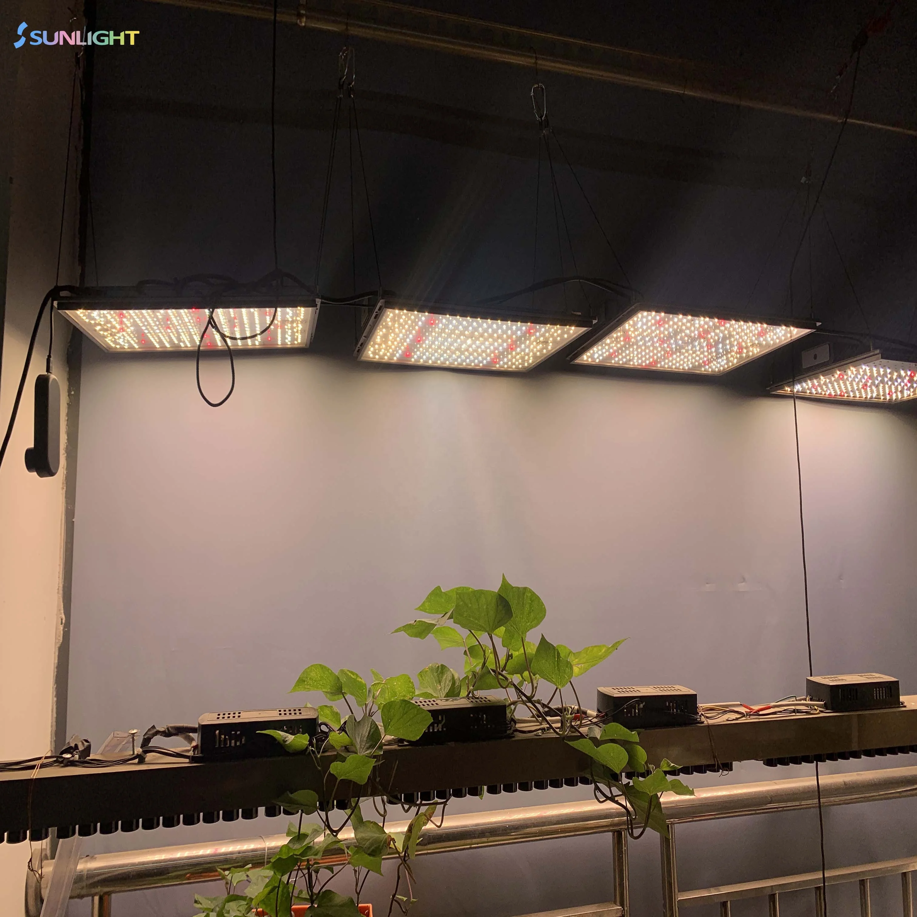 Hot Sales Sunlight Full Spectrum Indoor Grow Led Light Plant Grow Light Kits lm301b 1000w Led Grow Light uv ir Bar for Plants
